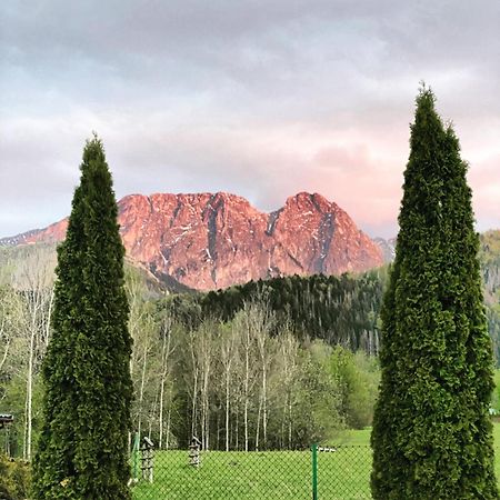 Zolta Turnia Apartment Zakopane Exterior foto